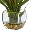 Pemberly Row Bromeliad with Glass Vase Arrangement in Red/Clear