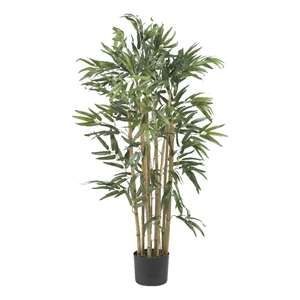 Pemberly Row 36&quot Multi Bambusa Bamboo Silk Tree in Green/Black
