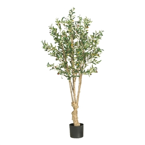 Pemberly Row 60&quot Olive Silk Tree with Over 1300 Leaves & Olives in Green/Black