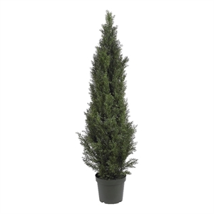 Pemberly Row Indoor/Outdoor 60&quot Mini Cedar Pine Tree in Green/Black