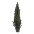 Pemberly Row Indoor/Outdoor 60