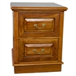Pemberly Row Contemporary 2 Drawer File Cabinet in Light Brown Walnut