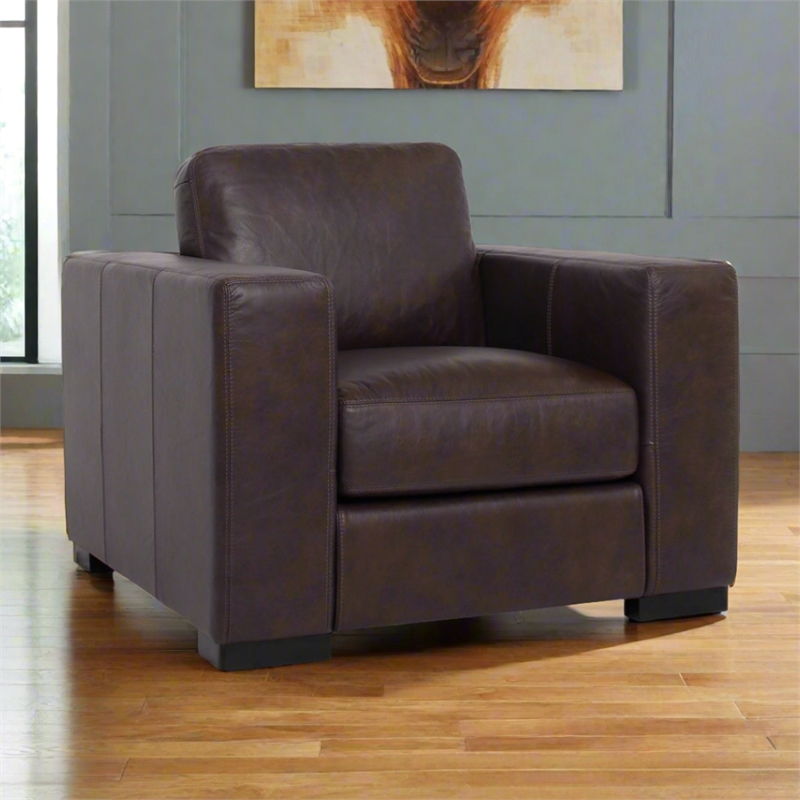 Pemberly Row Contemporary Top Grain Leather Arm Chair in Brown