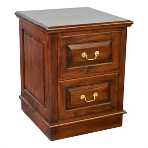 Pemberly Row Contemporary 2 Drawer File Cabinet in Brown Walnut
