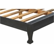Pemberly Row Traditional Floral Carved Solid Wood King Bed in Black