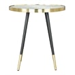 Pemberly Row Contemporary Iron Stainless Steel Glass and MDF End Table in Black