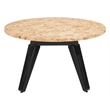 Pemberly Row Contemporary Engineered Wood Burl 2 in 1 Table Natural