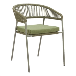 Pemberly Row Contemporary Metal Dining Chair (Set of 2) Green