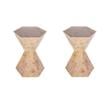 Pemberly Row Set of 2 Modern Wood Hexagon Side Tables in Light Burl