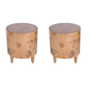 Pemberly Row Set of 2 Modern Wood End Tables in Traditional Burl