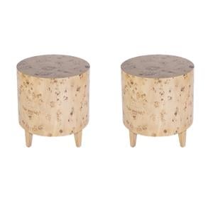 Pemberly Row Set of 2 Contemporary Modern Wood End Tables in Light Burl