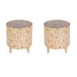 Pemberly Row Set of 2 Contemporary Modern Wood End Tables in Light Burl