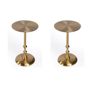 Pemberly Row Set of 2 Modern / Contemporary Metal Side Tables