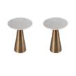 Pemberly Row Set of 2 Round Marble and Metal Side Tables in Antique Gold