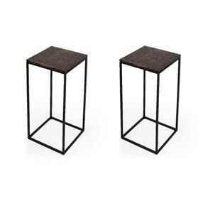 Pemberly Row Set of 2 Modern / Contemporary Bronze Top End Tables