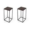 Pemberly Row Set of 2 Modern / Contemporary Bronze Top End Tables