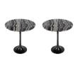 Pemberly Row Set of 2 Round Marble Accent Tables in Metal & Marble