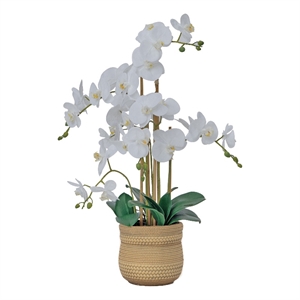 Pemberly Row 30&quot White Orchid Arrangement in a Large Tan Ceramic Planter