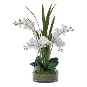 Pemberly Row 29.5&quot Decorative White Orchid Arrangement in a Glass Vase