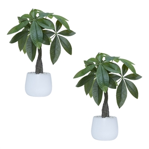 Pemberly Row 18&quot Faux Money Trees with Real-Touch Leaves (Set of 2)