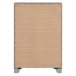 Pemberly Row Contemporary Wood 5 Drawer Chest Silver Champagne