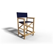 Pemberly Row Modern Teak Outdoor Counter Height Armchair in Blue