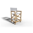 Pemberly Row Modern Teak Outdoor Counter Height Armchair in White