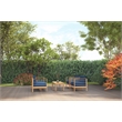 Pemberly Row Modern Teak Outdoor Club Chair with Navy Fabric Cushion