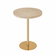Pemberly Row Transitional Accent Stone Gold Round Side Table