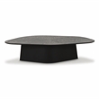 Pemberly Row Contemporary Accent Black Ash Finish Low Coffee Table