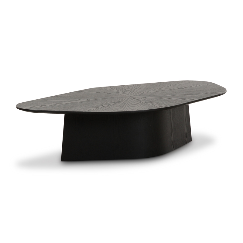 Pemberly Row Contemporary Accent Black Ash Finish Low Coffee Table