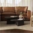 Pemberly Row Contemporary Black Ash Nesting Coffee Table Set