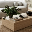 Pemberly Row Contemporary Coffee Table in Faux Wood Coffee Table