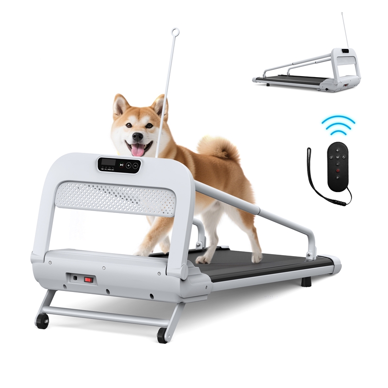 Pemberly Row Small/Medium Dogs Adjustable Speed w/ Incline Pet Treadmill - White