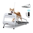 Pemberly Row Small/Medium Dogs Adjustable Speed w/ Incline Pet Treadmill - White