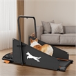 Pemberley Row Metal Orange Pet Exercise Treadmill Rectangular Shock Absorption