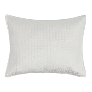 Pemberly Row 20x26&quot Rayon Velvet and Solid Cotton Standard Sham in Ivory
