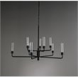 Pemberly Row 10-light Traditional Iron and Glass Chandelier in Black
