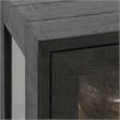 Pemberly Row 2-Door Glass Reclaimed Pine Wood Cabinet in Black