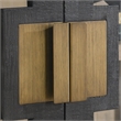 Pemberly Row 2-Door Glass Reclaimed Pine Wood Cabinet in Black