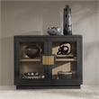 Pemberly Row 2-Door Glass Reclaimed Pine Wood Cabinet in Black