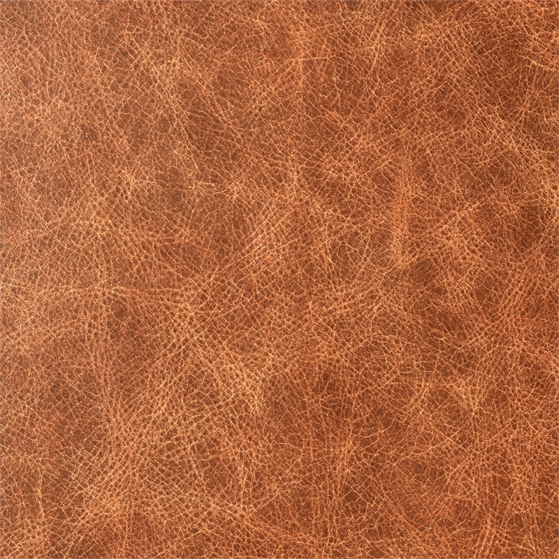 Pemberly Row Contemporary Top Grain Leather and Wood Arm Chair in Tan
