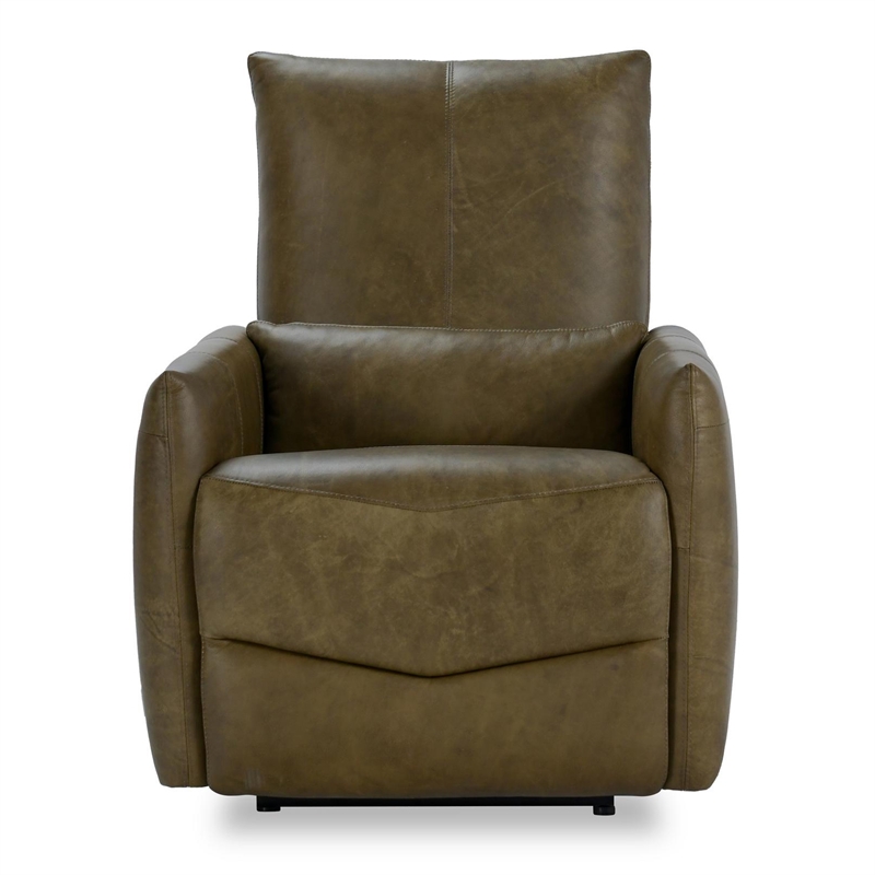Pemberly Row Transitional Leather Power Recliner Chair in Earth Brown