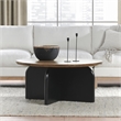 Pemberly Row Transitional Mango Wood Two-Tone Coffee Table in Black