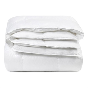 Pemberly Row Premium Down Alternative Filling Queen White Cotton Duvet Insert