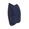 Pemberly Row Transitional 22x22 Fabric Throw Pillow in Dark Blue/Red