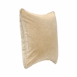 Pemberly Row Modern Transitional 22in Velvet Throw Pillow in Wheat
