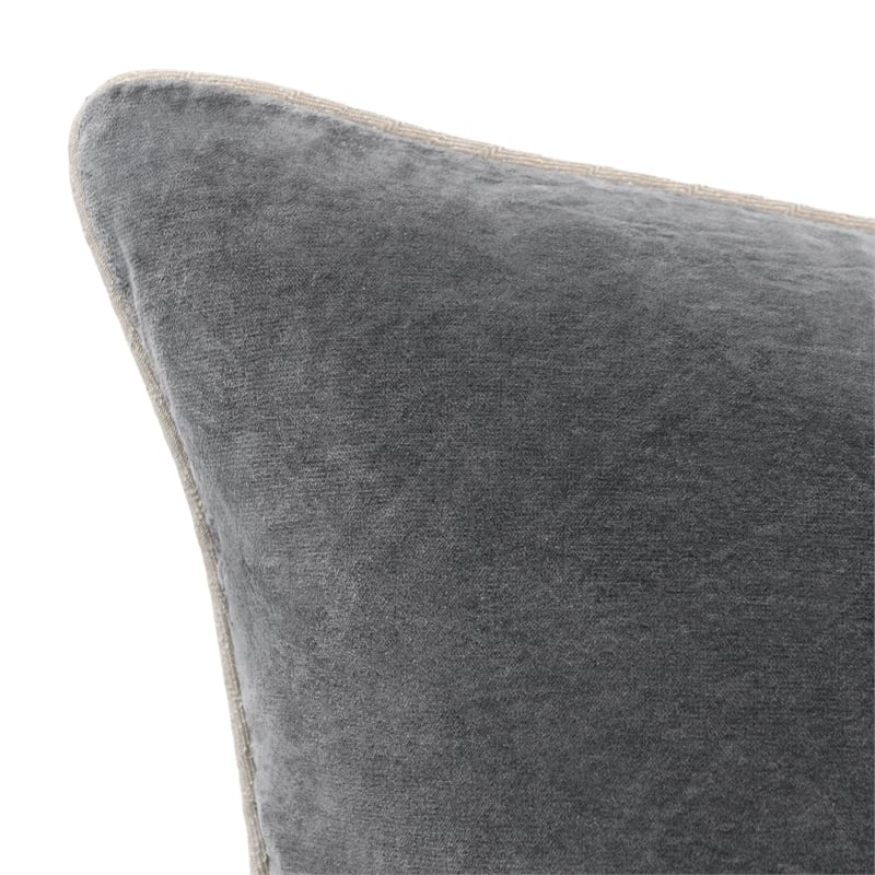 Pemberly Row Transitional 22in Velvet Throw Pillow in Stone Gray