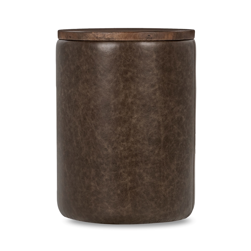 Pemberly Row Transitional Mango Wood Accent End Table in Cocoa Brown