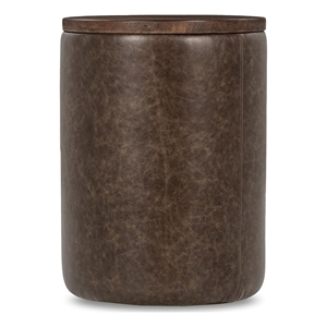 Pemberly Row Transitional Mango Wood Accent End Table in Cocoa Brown
